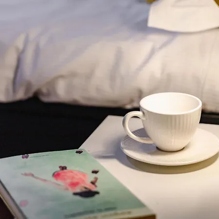 Italian Experience-movie Apartament